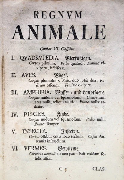 Página Livro Antigo Com Classes Zoológicas Animais — Fotografia de Stock