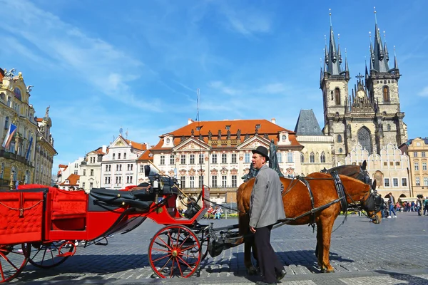 Kutscher wartet in Prag auf Touristen Stockbild