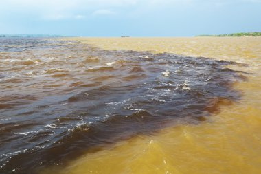 Amazon & Rio Negro waters clipart