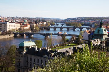 Prag Panoraması Vltava Nehri ile