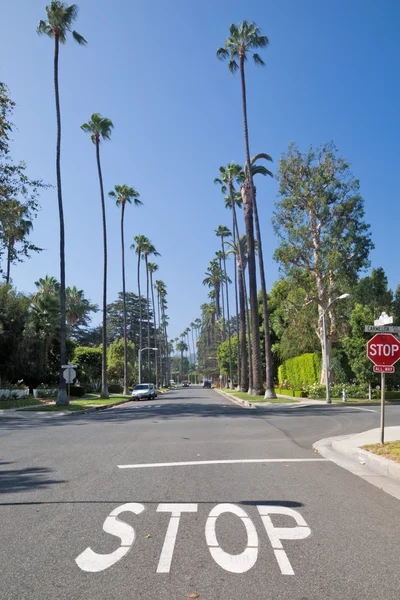 Calle en el distrito Beverly Hills — Foto de Stock