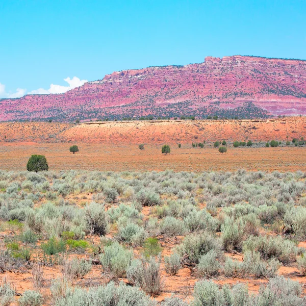 Colori della natura dello Utah — Foto Stock