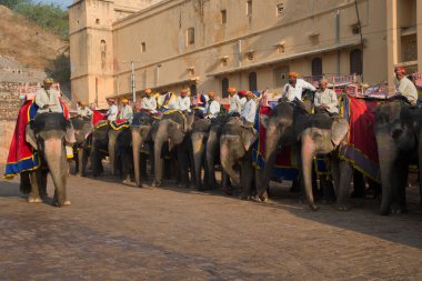 Turistler için bekleyen filler