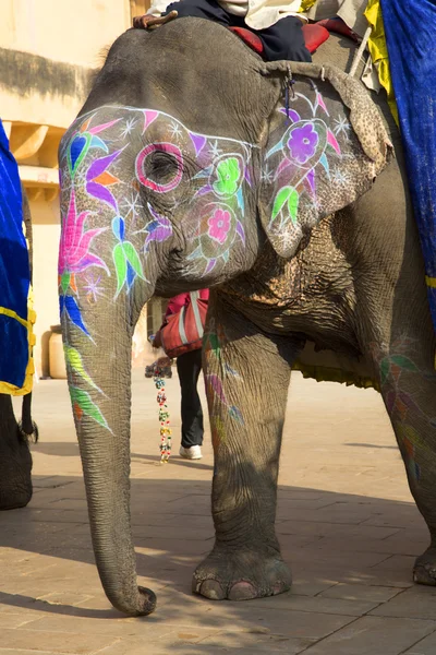 Painted indian elephant — Stock Photo, Image