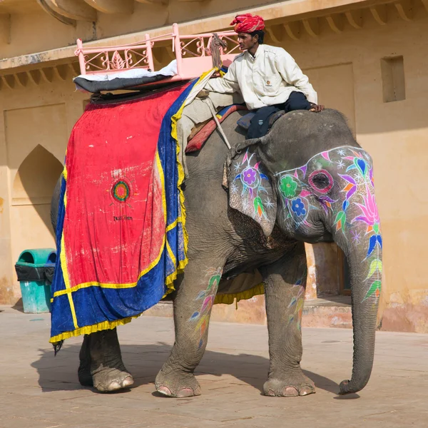 Mens en olifant wachten voor toeristen — Stockfoto