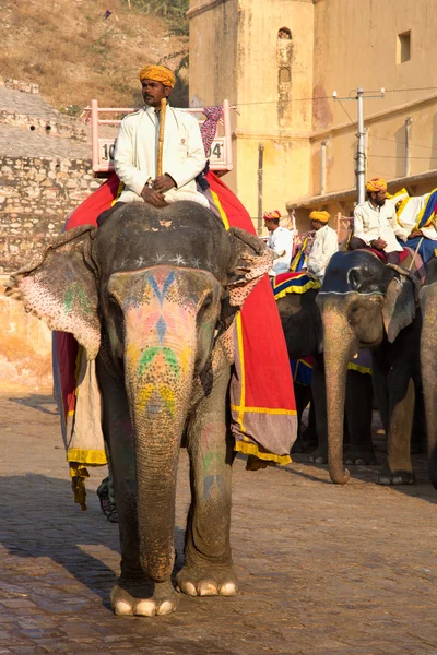 Turistler için bekleyen fil — Stok fotoğraf
