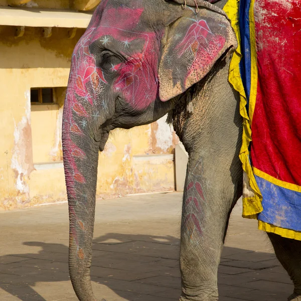 Hintli fil boyalı — Stok fotoğraf