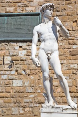 david heykeli michelangelo tarafından