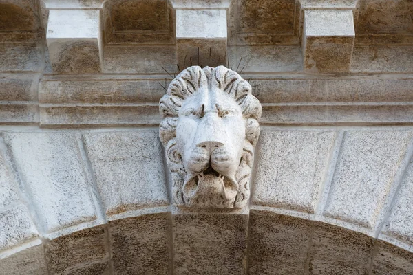 Head of lion sculpted in Venice — Stock Photo, Image