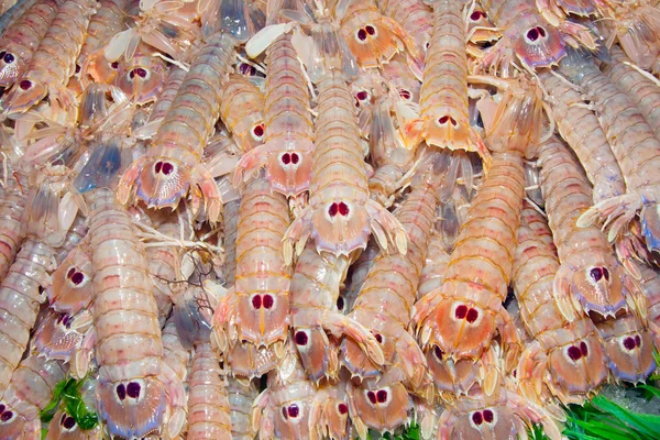 Camarones Mantis en el mercado de pescado — Foto de Stock