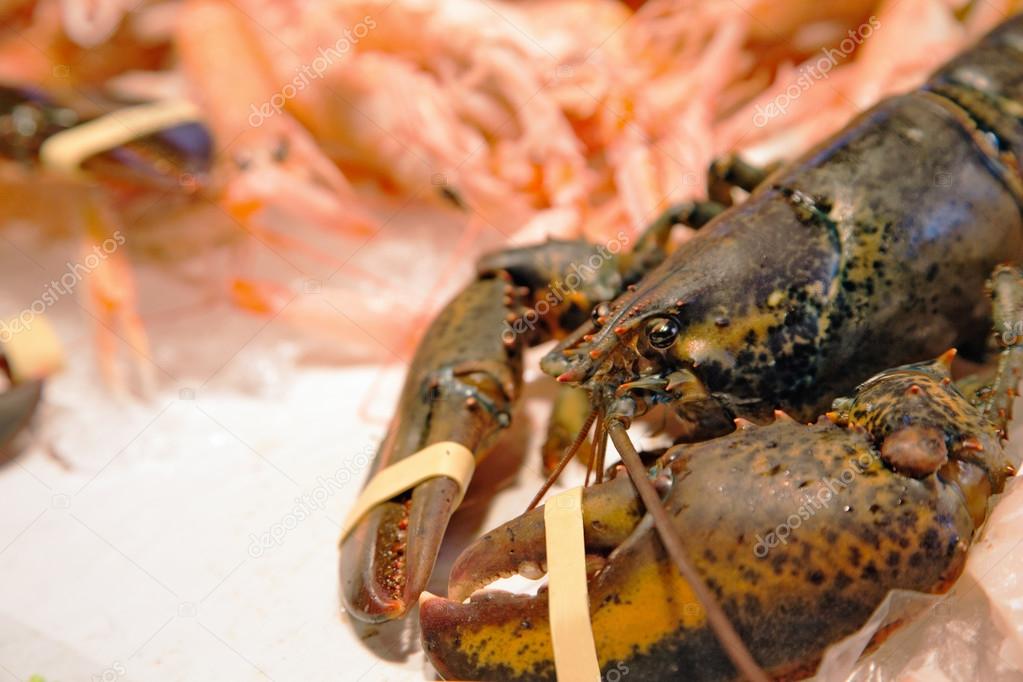 European lobster in seafood market