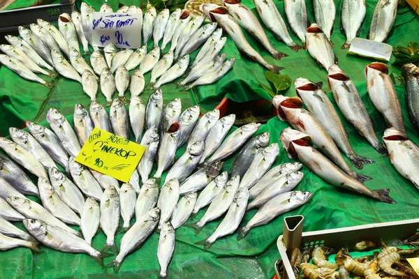Fish in night time market of Istanbul — Stock Photo, Image