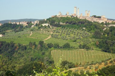 San Gimignano yeşil tepe üzerinde