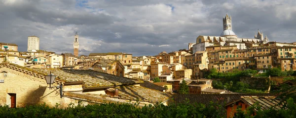 Panoráma města Siena s zvonicí — Stock fotografie