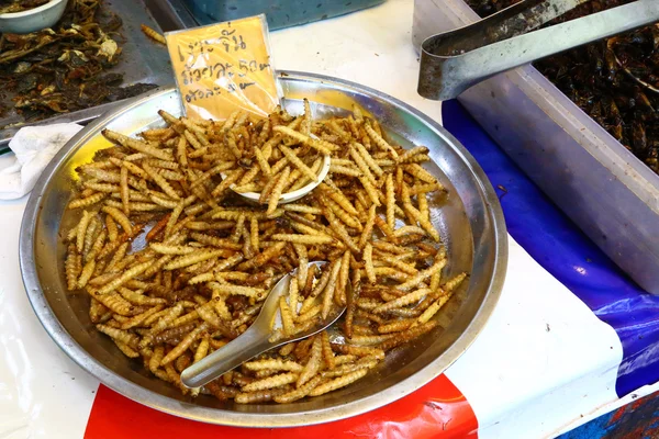 Fried larwy na blachy — Zdjęcie stockowe