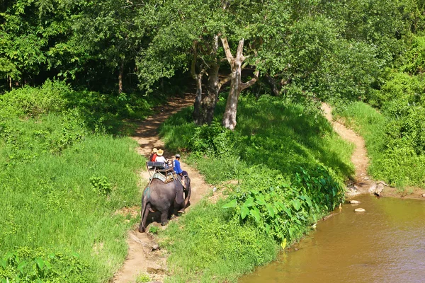 Fil binmek zevk turist — Stok fotoğraf