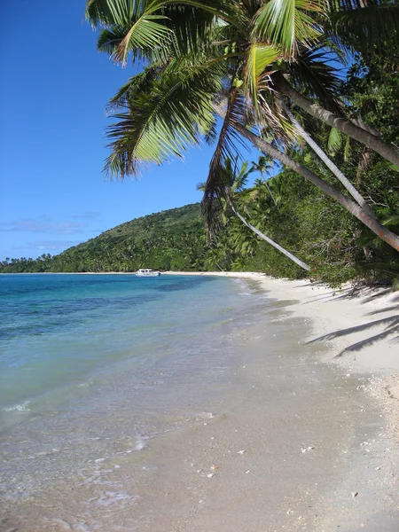 Malerischer Blick auf den tropischen Strand — Stockfoto