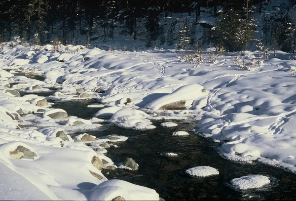 Arroyo de montaña con nieve en las orillas —  Fotos de Stock