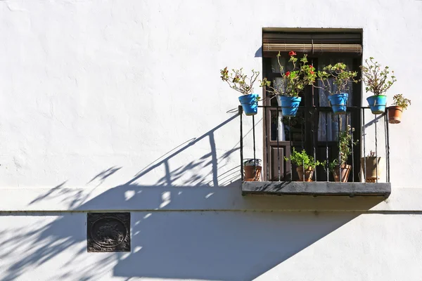 Pequena varanda com vasos de flores azuis — Fotografia de Stock