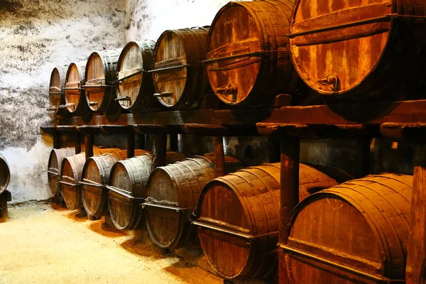 Old wooden wine barrels for aging — Stock Photo, Image