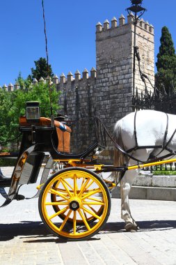 Cab for tourists with horse