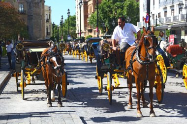 Atları ile turistler için taksi