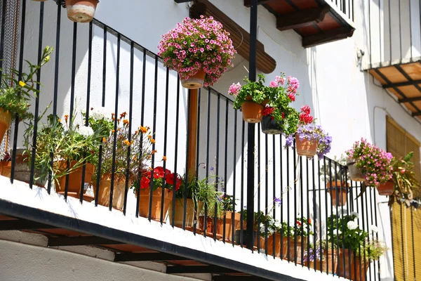 Balcony with flower pots in Andalusia — Stock Photo, Image