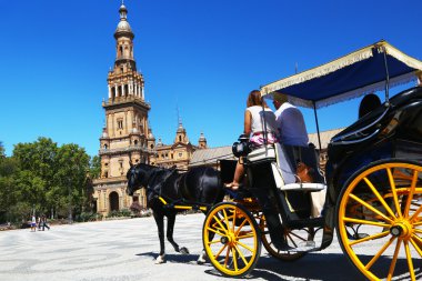 Atları ile turistler için taksi