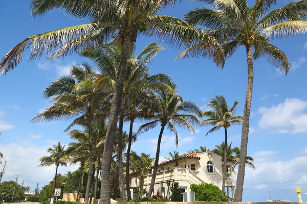 Maison au manoir de luxe à Palm Beach — Photo