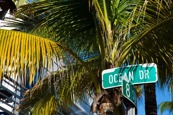 Ocean Drive plate — Stock Photo, Image