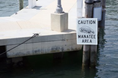 Manatee uyarı işareti
