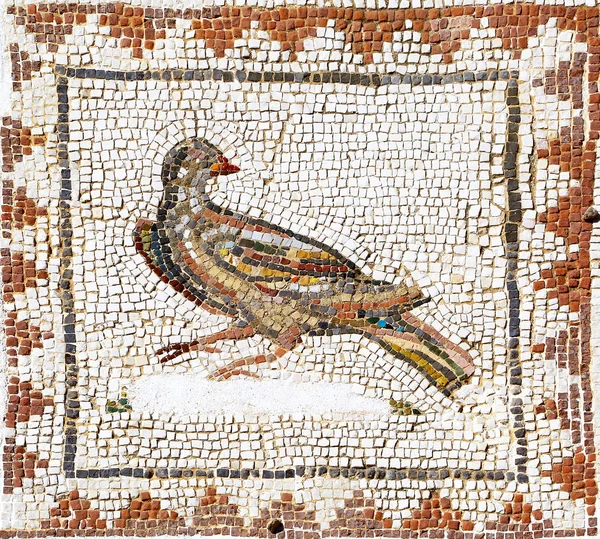 Antigo mosaico romano de uma pomba — Fotografia de Stock