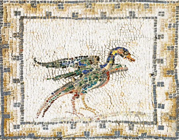 Antico mosaico romano di un'anatra — Foto Stock