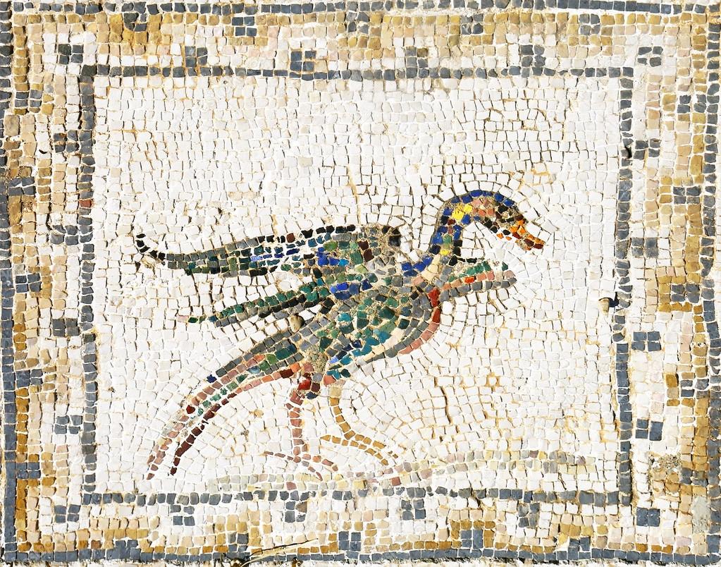 Ancient roman mosaic of a duck