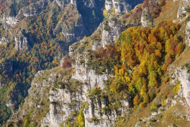 Pitoresk ormanlık dağlar