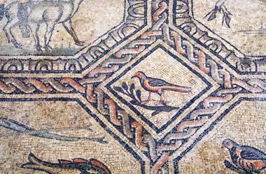 İtalya, Aquileia bazilikasındaki bir kuşun antik Roma mozaiği.