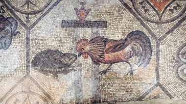 Antik Roma Aquileia mozaiğinde horoz ve kurbağa