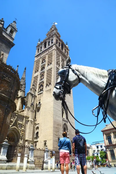 Πύργο Giralda & τουρίστες στην Σεβίλλη, Ισπανία — Φωτογραφία Αρχείου