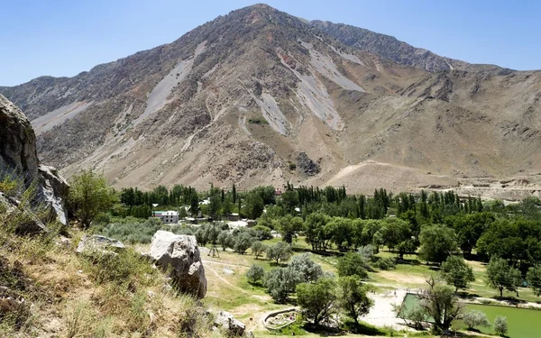 Kırgızistan doğası