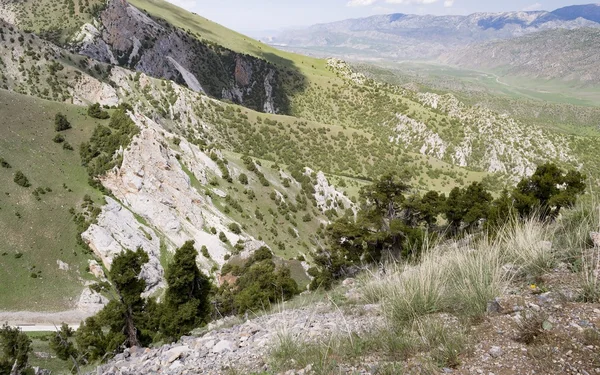 Kırgızistan doğası — Stok fotoğraf