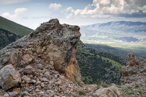 Kırgızistan Dağları