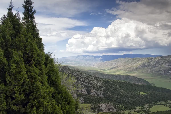 Kırgızistan Dağları