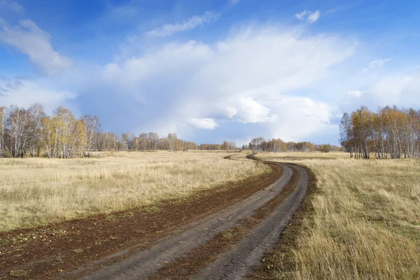 Toprak yol