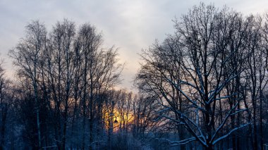 Bir kış akşamında zafer parkı