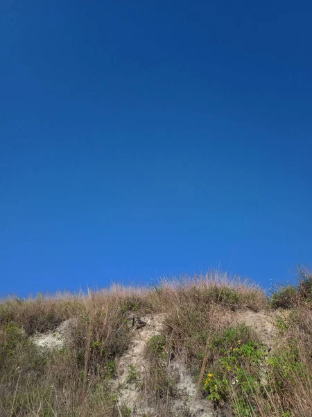 Céu Azul Brilhante Com Grama Seca Primeiro Plano Céu Azul — Fotografia de Stock