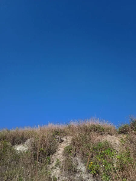 Cielo Blu Brillante Con Erba Secca Primo Piano Cielo Blu — Foto Stock