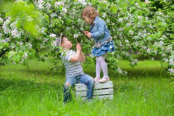 Sorella e fratello — Foto Stock