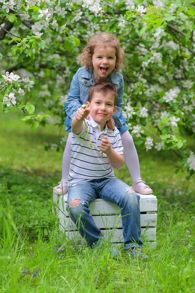 Kız ve erkek kardeş — Stok fotoğraf