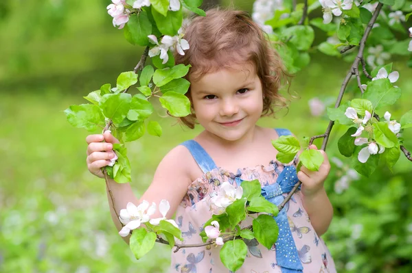 Ragazza adorabile — Foto Stock