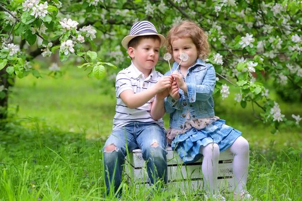 Sorella e fratello — Foto Stock